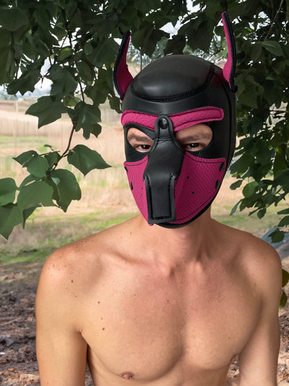 Pup Hood